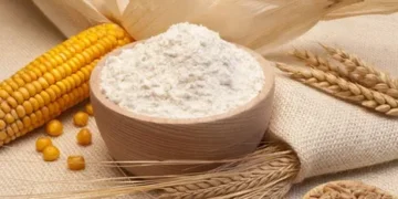 انخفاض أسعار القمح والذرة في بورصة شيكاجو بعد إعلان وقف إطلاق النار