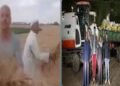 بسبب نزاع على الأرض.. كشف لغز سرقة محصول القمح بالشرقية