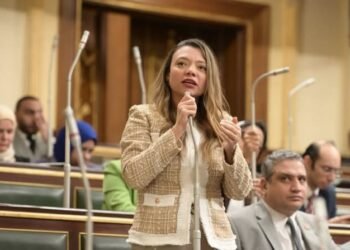 تفاصيل مقترح “البيانات المرنة” لاستخراج بطاقة رقم قومي للأطفال