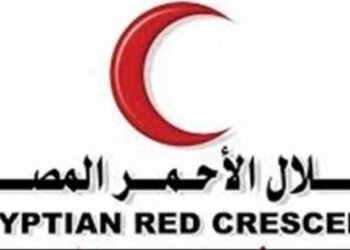 عبر الخط الساخن 15322.. الهلال الأحمر يقدم خدمات الدعم النفسي والسرية