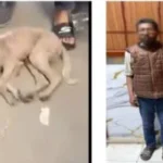 الأجهزة الأمنية تكشف لغز فيديو “الكلب القتيل” فى الشرقية