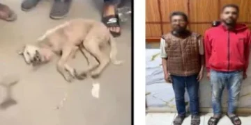 الأجهزة الأمنية تكشف لغز فيديو “الكلب القتيل” فى الشرقية