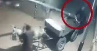 كشف حقيقة فيديو نقل مواطن لعامود إنارة بالكارو في الدقهلية