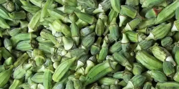 البامية تسجل 150 جنيهًا.. تعرف على أسعار الخضراوات اليوم