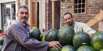 البحوث الزراعية: البطيخ المصري سليم تماماً والشائعات تهدف لتشويه الفلاح