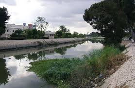 كانت في طريقها للمستشفى.. نجاة سيدة من الموت بالفيوم بعد انقلاب سيارتها