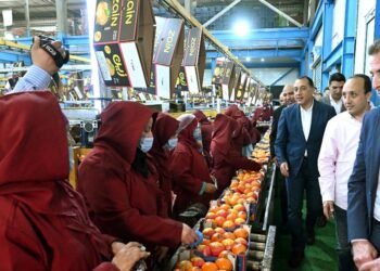 مدبولي يتابع منظومة تصدير الموالح بمحطة “الصواف” في بنها