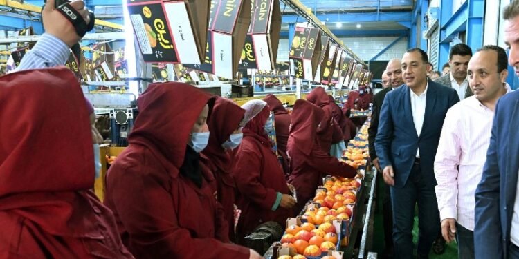 مدبولي يتابع منظومة تصدير الموالح بمحطة “الصواف” في بنها