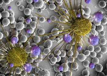 الخلايا السرطانية “تتعلم” وتتكيف: اكتشاف آلية جديدة لمقاومة العلاج الكيماوي