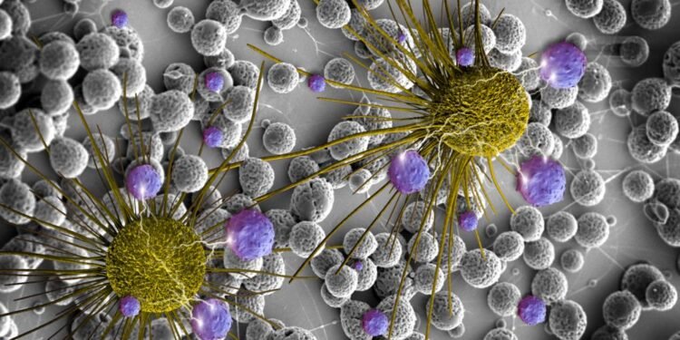 الخلايا السرطانية “تتعلم” وتتكيف: اكتشاف آلية جديدة لمقاومة العلاج الكيماوي