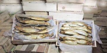 الداخلية تضبط 8 أطنان أسماك فاسدة بمحافظة الدقهلية