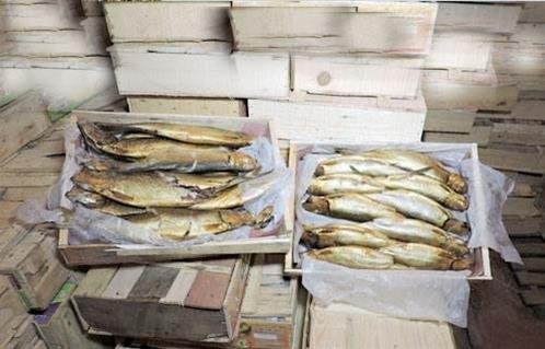 الداخلية تضبط 8 أطنان أسماك فاسدة بمحافظة الدقهلية