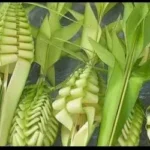 زعف النخيل يزين كنائس الإسكندرية احتفالاً بدخول المسيح أورشليم