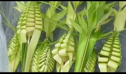 زعف النخيل يزين كنائس الإسكندرية احتفالاً بدخول المسيح أورشليم