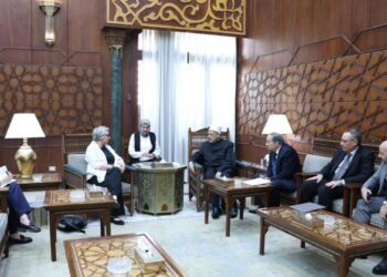 شيخ الأزهر للسفيرة الفنلندية: المادية وتجارة السلاح تهددان منظومة القيم العالمية