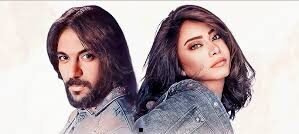 شيرين وبهاء سلطان يجتمعان في ديو غنائي بعد 21 عامًا من التعامل المشترك