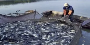 الداخلية تكشف ملابسات القبض على 5 صيادين ببورسعيد