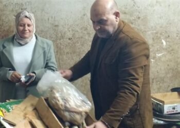 ضبط طن فسيخ وسردين فاسد بالقليوبية قبل شم النسيم