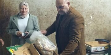 ضبط طن فسيخ وسردين فاسد بالقليوبية قبل شم النسيم