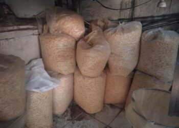 ضبط مصنع “سناكس” غير مرخص و2 طن كلور مجهول بالغربية