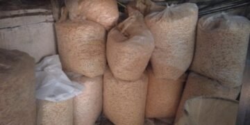 ضبط مصنع “سناكس” غير مرخص و2 طن كلور مجهول بالغربية