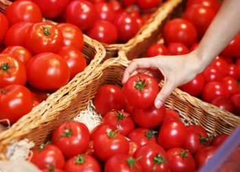 الطماطم بـ 20 جنيهاً في المجمعات الاستهلاكية وتقلبات تضرب القطاع الخاص