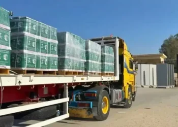 قافلة مساعدات مصرية تضم 181 شاحنة تتجه إلى غزة عبر معبر كرم أبو سالم