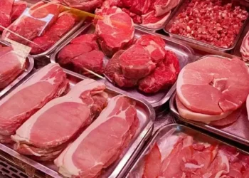 استقرار أسعار اللحوم الحمراء في مصر اليوم السبت..