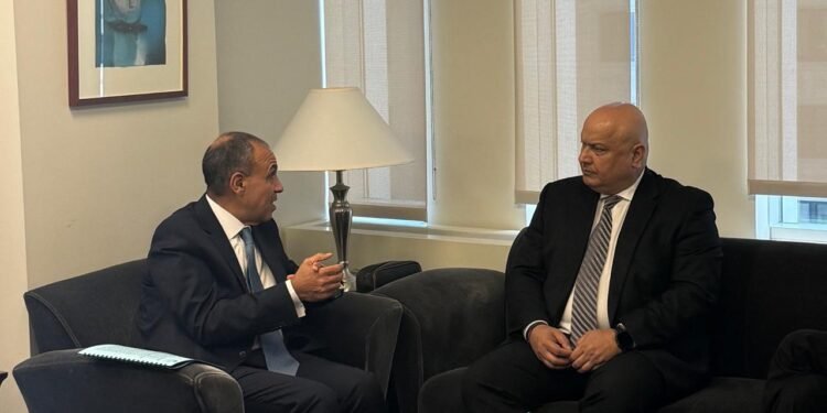 عبد العاطي يبحث مع البنك الدولي بواشنطن سبل تعزيز الأمن المائي