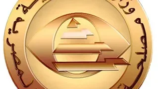 ضربة جديدة للجمارك المصرية.. إحباط تهرب جمركي بملايين الجنيهات