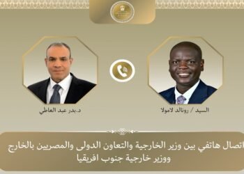 وزير الخارجية يبحث مع نظيره الجنوب أفريقي تطورات الشرق الأوسط وتعزيز العلاقات الثنائية