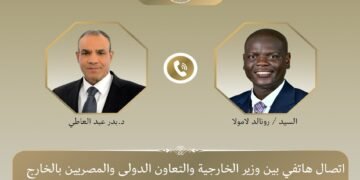 وزير الخارجية يبحث مع نظيره الجنوب أفريقي تطورات الشرق الأوسط وتعزيز العلاقات الثنائية