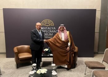 وزيرا خارجية مصر والسعودية يؤكدان تعزيز التنسيق المشترك