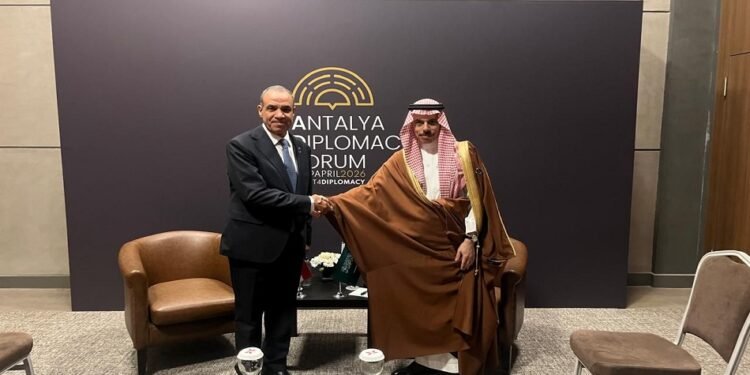 وزيرا خارجية مصر والسعودية يؤكدان تعزيز التنسيق المشترك