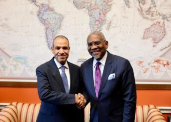 مصر وأمريكا تبحثان تعزيز الشراكة والتنسيق الإقليمي