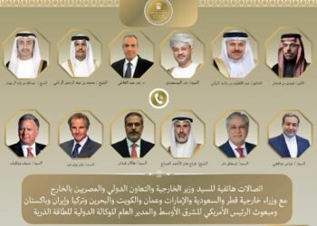 تحركات دبلوماسية مصرية مكثفة  لبحث تطورات المنطقة