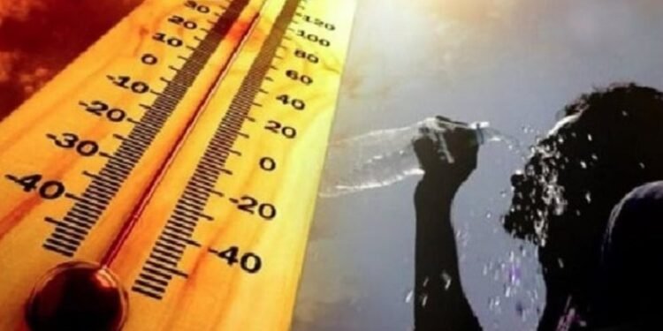 ارتفاع تدريجي في درجات الحرارة غدًا.. والأرصاد تحذر من الشبورة والرياح المثيرة للأتربة