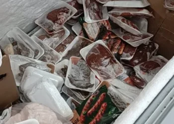 محافظة الجيزة تضبط 10 أطنان من اللحوم ومنتجات الدواجن الفاسدة في إجازة عيد الأضحى