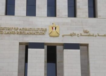 وزارة الزراعة تحدد شروط اختيار الأضحية
