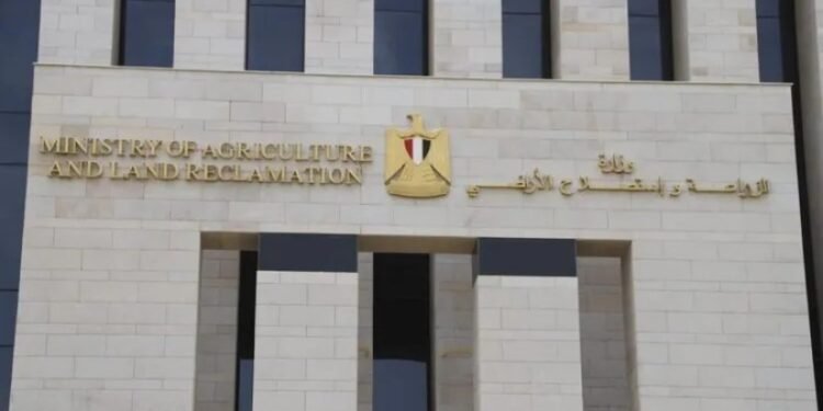 وزارة الزراعة تحدد شروط اختيار الأضحية