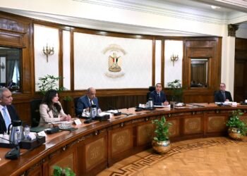 رئيس الوزراء: استراتيجية وطنية لتنظيم إنشاء مراكز البيانات في مصر