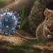 مستشار الرئيس للصحة: فيروس «هانتا» قديم ولم يظهر في مصر ولا يوجد وباء عالمي