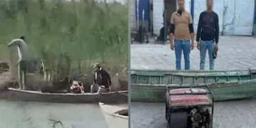 القبض على شخصان بتهمة صيد الأسماك بصاعق كهربائي ببورسعيد