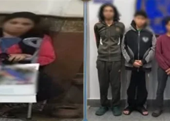الداخلية تكشف حقيقة ادعاء سيدة تلفيق قضايا لنجليها بالإسكندرية