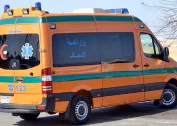 مقتل شخص في مشاجرة بالأسلحة البيضاء بطوخ