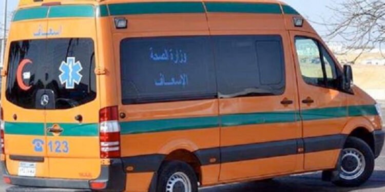 مقتل شخص في مشاجرة بالأسلحة البيضاء بطوخ