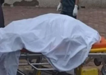 القبض على شاب أنهى حياة والدته داخل مطبخ المنزل في الشرقية