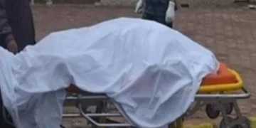 القبض على شاب أنهى حياة والدته داخل مطبخ المنزل في الشرقية