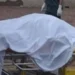 القبض على شاب أنهى حياة والدته داخل مطبخ المنزل في الشرقية