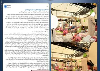 مصدر أمني ينفي شائعة تضرر الحجاج المصريين.. ويؤكد: الصور مفبركة بالذكاء الاصطناعي